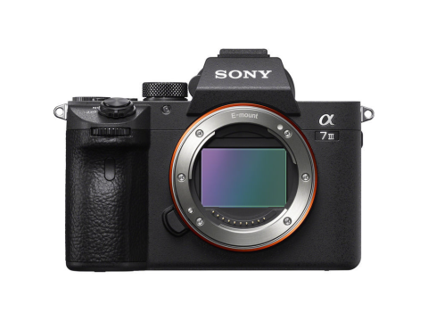 Sony Alpha A7 III ILCE 7M3 + FE 28-70mm f/3.5-5.6 OSS.Picture2